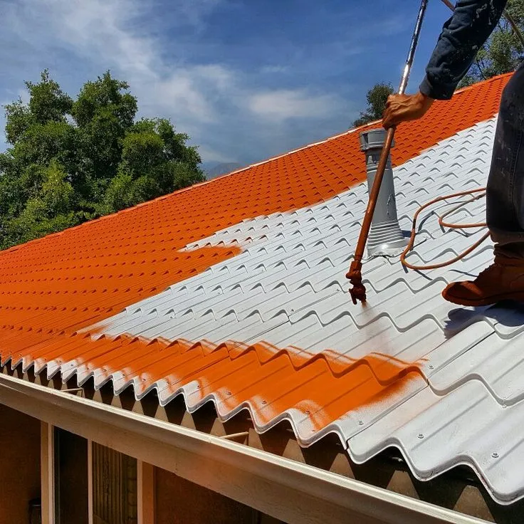 Roof leak repair work